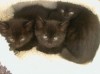 DSCN0841.JPG